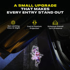Nay custom door projector adds an eye-catching night entry glow with a cool projection and stronger car presence.