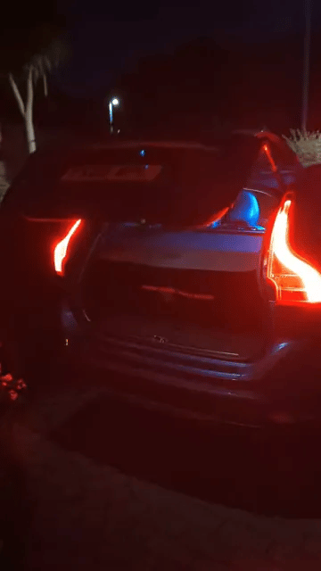 Dynamic rear trunk LED strip lighting the cargo area at night